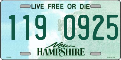 NH license plate 1190925