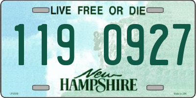 NH license plate 1190927