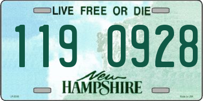 NH license plate 1190928
