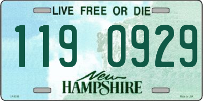 NH license plate 1190929