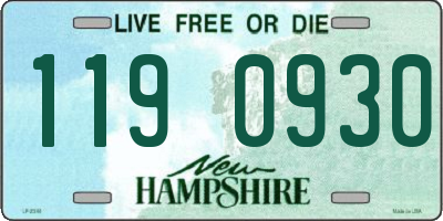 NH license plate 1190930
