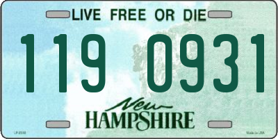 NH license plate 1190931