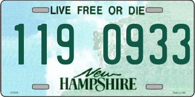 NH license plate 1190933