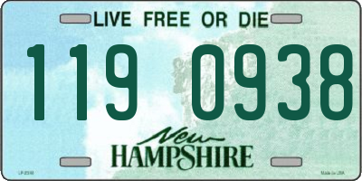 NH license plate 1190938