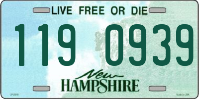 NH license plate 1190939