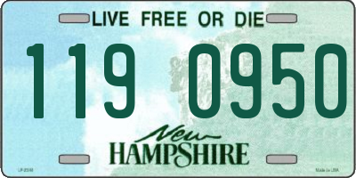 NH license plate 1190950
