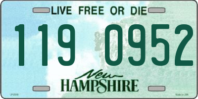 NH license plate 1190952