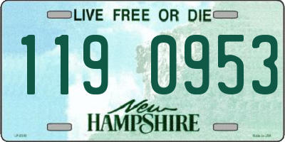 NH license plate 1190953