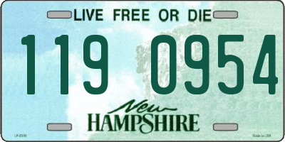 NH license plate 1190954