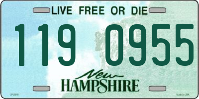NH license plate 1190955