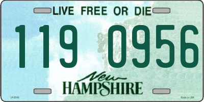 NH license plate 1190956