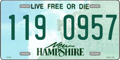 NH license plate 1190957