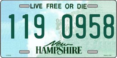 NH license plate 1190958