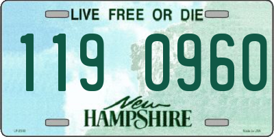 NH license plate 1190960