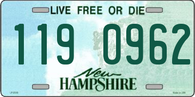 NH license plate 1190962