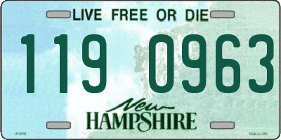 NH license plate 1190963