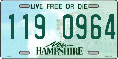 NH license plate 1190964