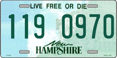 NH license plate 1190970