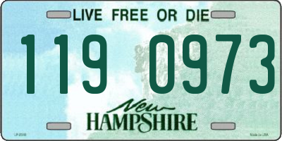 NH license plate 1190973