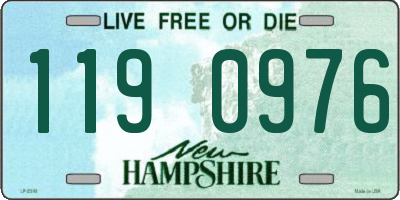 NH license plate 1190976