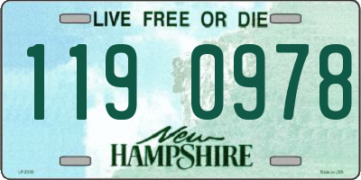 NH license plate 1190978