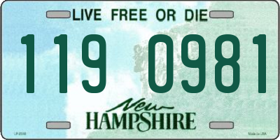 NH license plate 1190981