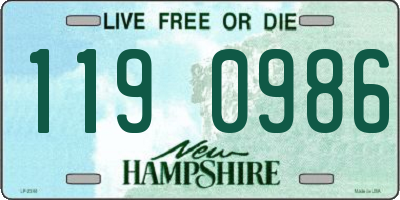 NH license plate 1190986