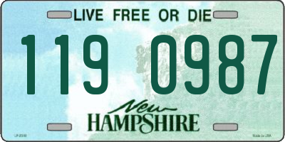 NH license plate 1190987