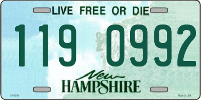 NH license plate 1190992