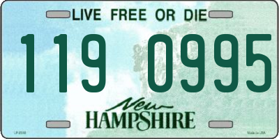 NH license plate 1190995
