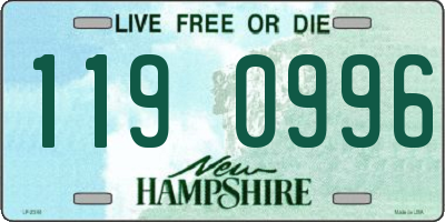 NH license plate 1190996