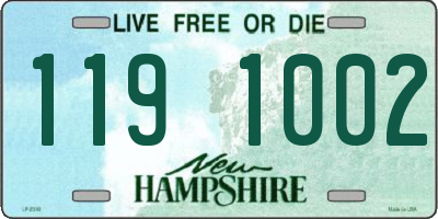 NH license plate 1191002