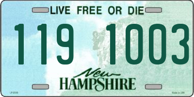 NH license plate 1191003