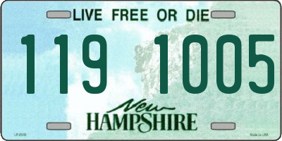 NH license plate 1191005