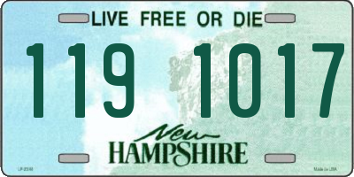 NH license plate 1191017