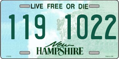 NH license plate 1191022