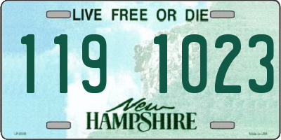 NH license plate 1191023