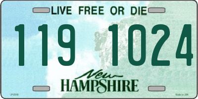 NH license plate 1191024