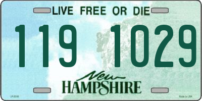 NH license plate 1191029