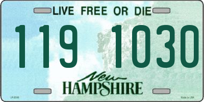NH license plate 1191030