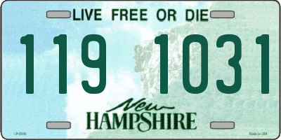 NH license plate 1191031