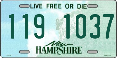 NH license plate 1191037