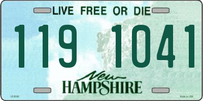 NH license plate 1191041