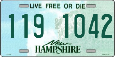 NH license plate 1191042