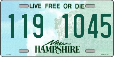 NH license plate 1191045