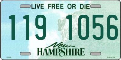 NH license plate 1191056