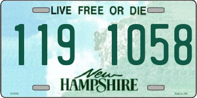 NH license plate 1191058
