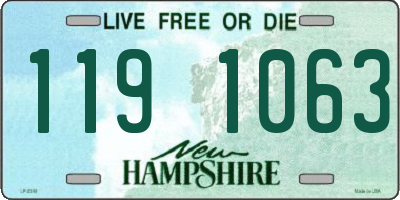 NH license plate 1191063