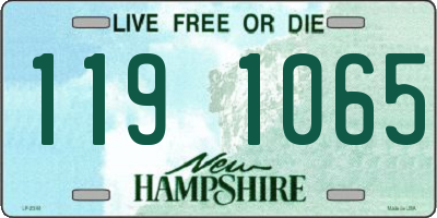 NH license plate 1191065
