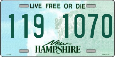 NH license plate 1191070